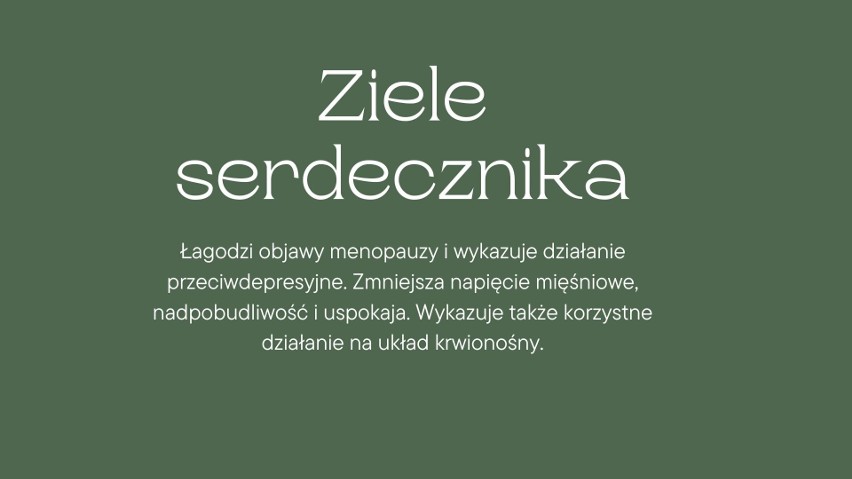 Oto najlepsze zioła na menopauzę. Te zioła skutecznie łagodzą objawy menopauzy