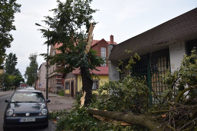 W poniedziałek (29 lipca) po południu, nad Nową Solą przeszła burza z gwałtowna ulewą. W mieście porywisty wiatr łamał gałęzie lip, akacji, klonów, a nawet sędziwego platana, jak zapałki. Wiele z nich zaległo na ulicach i chodnikach. Sporemu zniszczeniu uległ park w Ogrodzie Sztuk Biblioteki Miejskiej. Spadały też dachówki na ulicy Muzealnej. Zdjęcia pochodzą z ulic: Gimnazjalnej, Bankowej, Zjednoczenia, Muzealnej, Wróblewskiego, Wrocławskiej i Wojska Polskiego.Zobacz: Jak zabezpieczyć się przed burza?