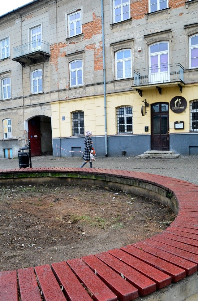 Na Starym Mieście i tak jest niewiele zieleni. Rozłożysta wierzba przez lata była ozdobą placu Rybnego, ale właśnie została wycięta.