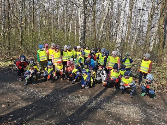 Przedszkolaki z Sędziszowa sprzątały las. Zebrały dwa wielkie worki śmieci. Brawo!