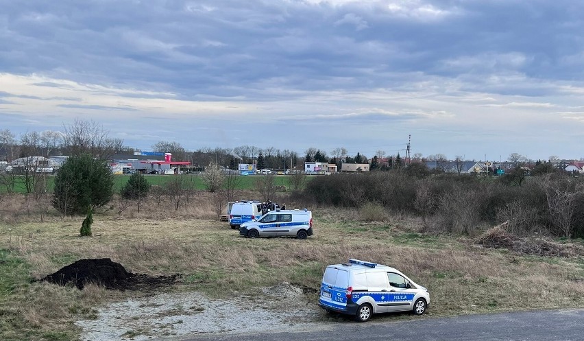 Akcja na Grzybowie w Lesznie. Zobacz zdjęcia ->