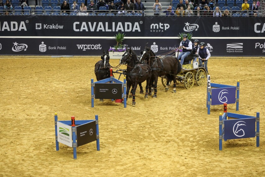 Cavaliada Tour