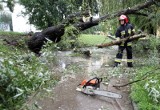 Burze w woj. śląskim. Powalone drzewa, podtopione drogi i posesje. Strażacy interweniowali w regionie prawie 100 razy