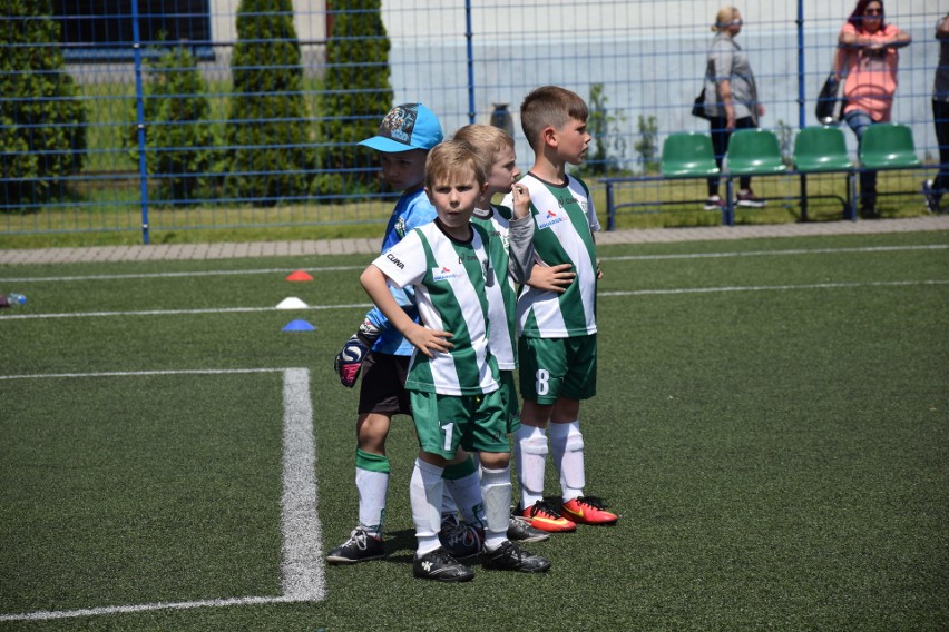 Turniej Zawiercie Cup 2017: Ponad 200 zawodników na boiskach ZDJĘCIA