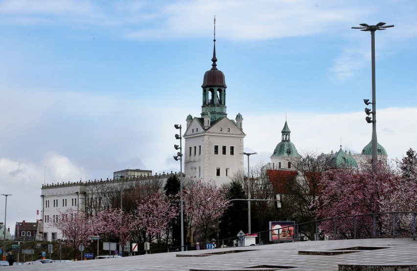 Noc Muzeów 2022 w Szczecinie. Gdzie się wybrać? Co zobaczyć?