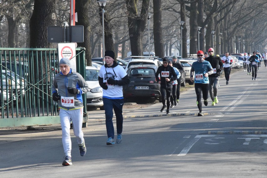 Bieg Tropem Wilczym we Wrocławiu. Uczcili pamięć żołnierzy wyklętych [ZDJĘCIA, WYNIKI]