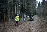 Płot skuteczny, nie tylko przeciw dzikom. Ale afrykański pomór świń i tak coraz bliżej świętokrzyskiego. Zobacz, które powiaty zagrożone