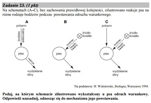 Stara matura 2016: Biologia rozszerzona [ODPOWIEDZI, ARKUSZ CKE]