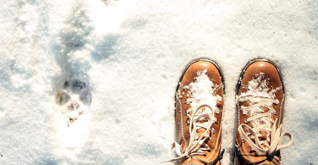 Sprawdź, jak zadbać o zimowe obuwie, gdy pada śnieg i chodniki są posypane solą. Te domowe triki warto przestestować już teraz.