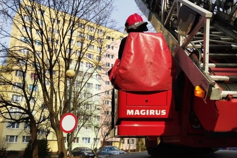 Nietypowa interwencja lubelskich strażaków. Uratowali uwięzionego gołębia