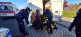 Siedmiu kurierów zatrzymanych w niedzielę w Podlaskiem. Przewozili łącznie 58 nielegalnych imigrantów