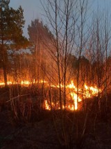 Kolejny raz podpalacze dali znać w gminie Borkowice. W piątek 25 marca strażacy musieli dwa razy gasić pożary
