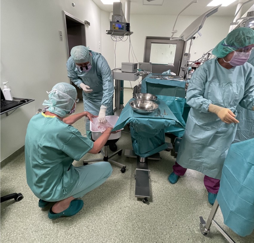 Operacja przeszczepu serca w Krakowskim Szpitalu...