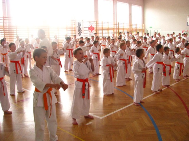 Egzaminy w Ostrołęckim Klubie Karate wyglądały niezwykle okazale.