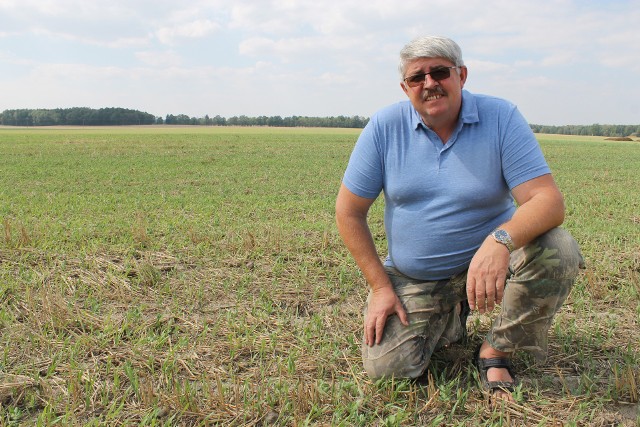 - U mnie na polach trochę popadało, więc z poplonów może coś będzie, ale pod samym Grodkowem deszczu nie było ponad miesiąc - mówi Dariusz Gajewski, rolnik ze Starowic.
