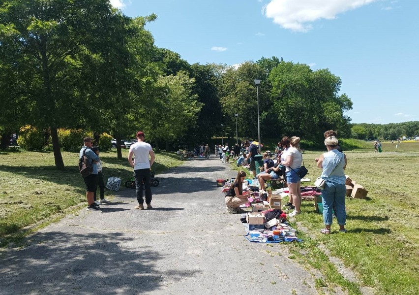 Przedsięwzięcie odbyło się w sąsiedztwie zamojskiego Parku...