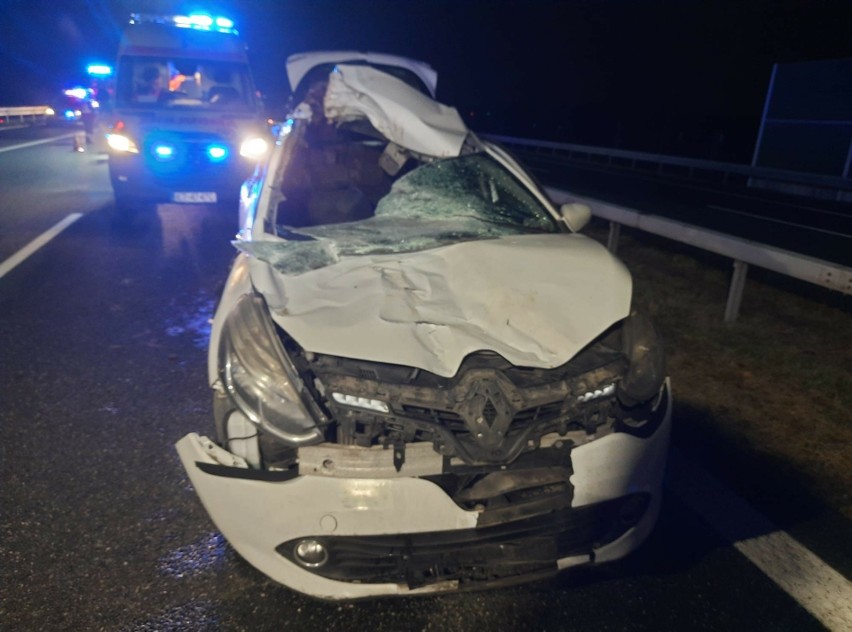 Koszmarny wypadek na autostradzie A4 pomiędzy Tarnowem i Brzeskiem. Samochód osobowy zderzył się z łosiem. Droga jest zablokowana