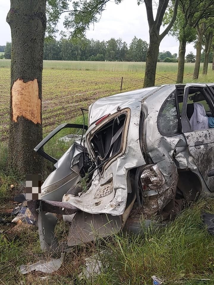 Jatwieź Duża. Renault uderzyło w drzewo. Trzeba było wycinać...