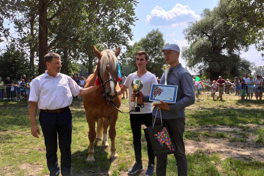 Poznaliśmy zwycięzców XIII Regionalnej Wystawy Koni Hodowlanych w Drohiczynie (zdjęcia)