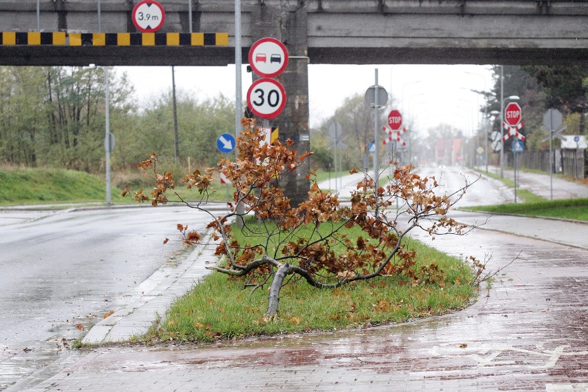 Uwaga - silny wiatr w woj. kujawsko-pomorskim. Po południu i w nocy mocno powieje w Bydgoszczy i regionie