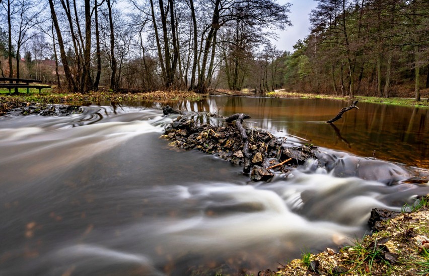 Wzbierają rzeki! Ostrzeżenia hydrologiczne 1 i 2 stopnia dla Świętokrzyskiego