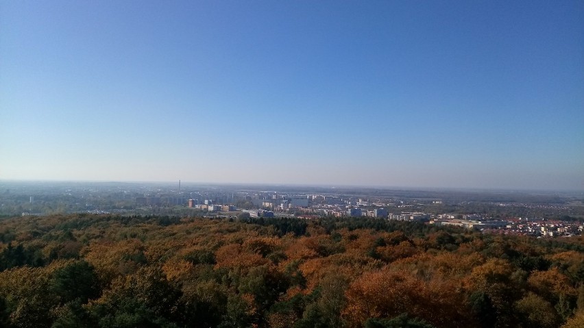 Koszalin. Widok z wieży na Górze Chełmskiej.