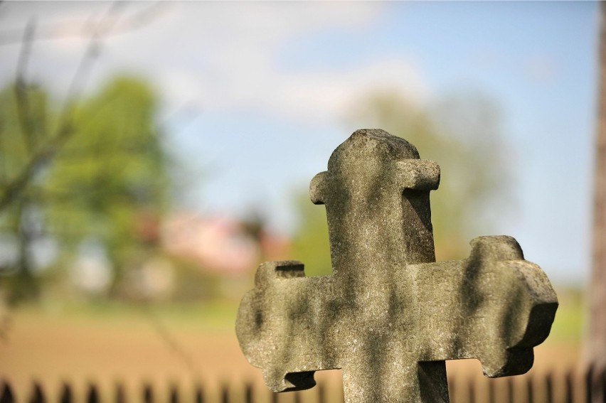 Stogi Malborskie, największy zachowany cmentarz mennonicki...