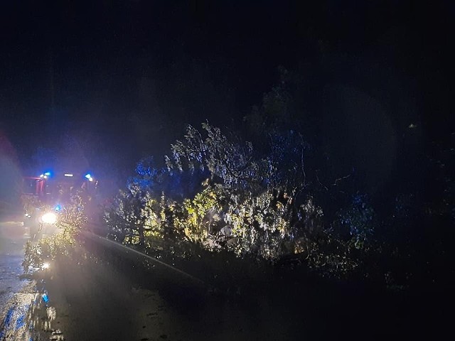 W nocnej akcji Ochotnicza Straż Pożarna z Nowego Korczyna - usuwanie powalonego drzewa w Sępichowie.