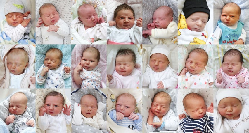 Witamy na świecie” - tylko u nas zdjęcia noworodków | Echo Dnia Radomskie