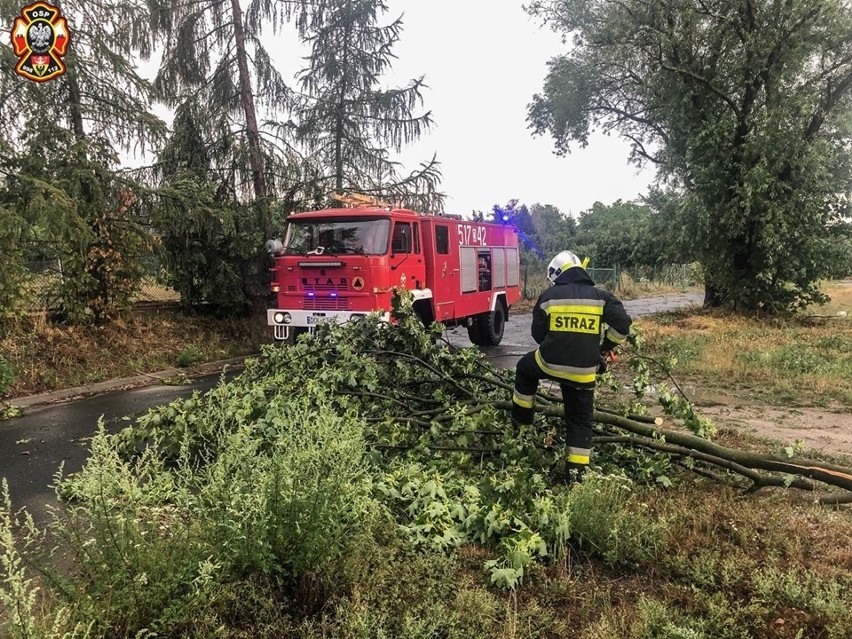 Zalane ulice i połamane drzewa. Burze przeszły przez Dolny Śląsk