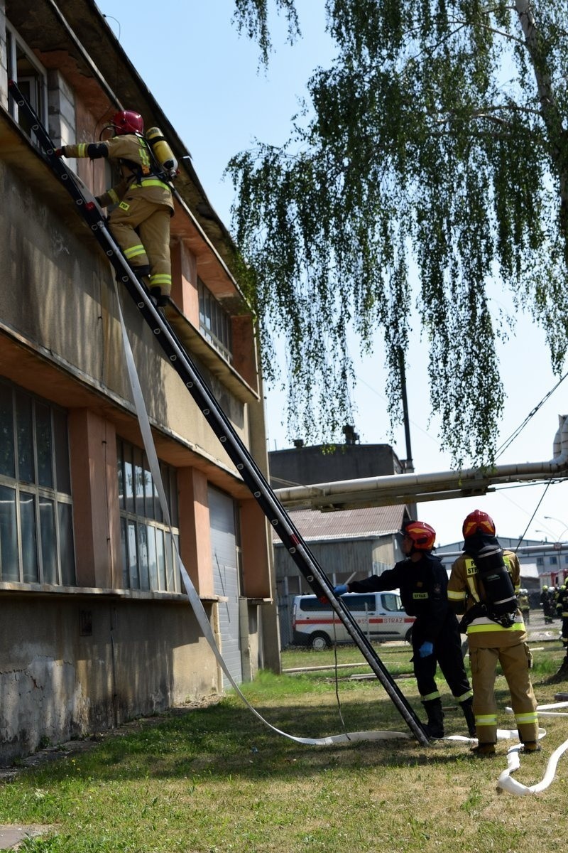 Ponad 100 strażaków PSP i OSP na ćwiczeniach "Brzozów 2022" [ZDJĘCIA]