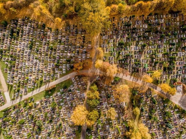 Cmentarz Łostowicki 31.10.2020 r.