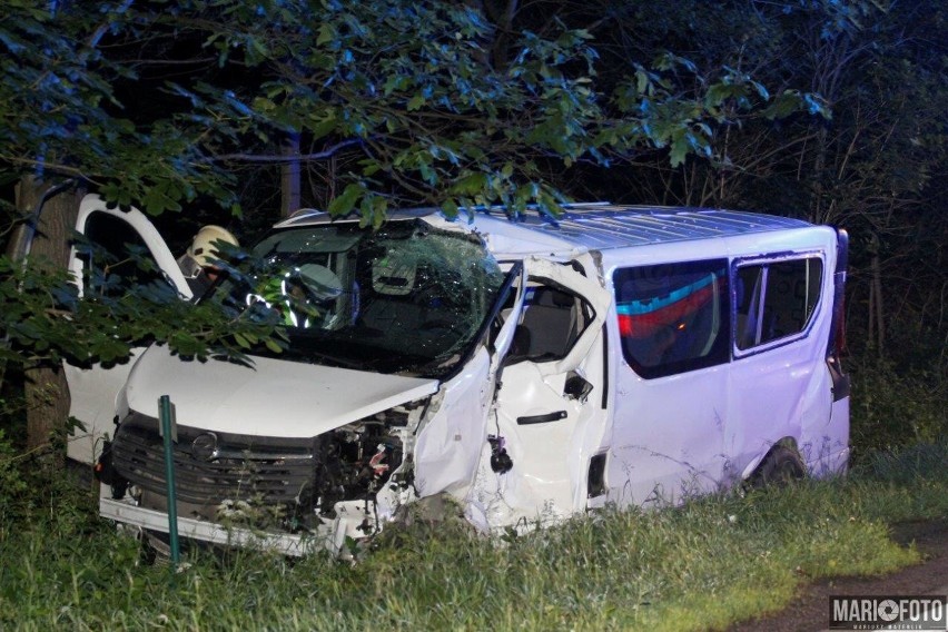 Bus zderzył się z autokarem. Do wypadku doszło na DK 94