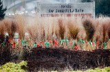 Czerwone i zielone kokardy na gdańskich skwerach i zieleńcach.  Miasto stroi się na Boże Narodzenie. "Tysiące powodów do uśmiechu"
