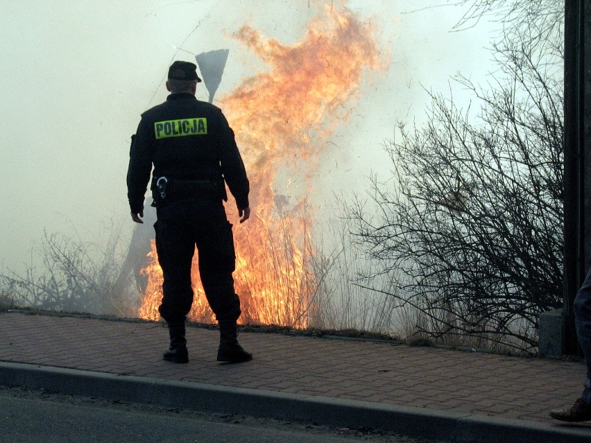 Bezsensowne wypalanie traw to zmora nie tylko w Sosonowcu