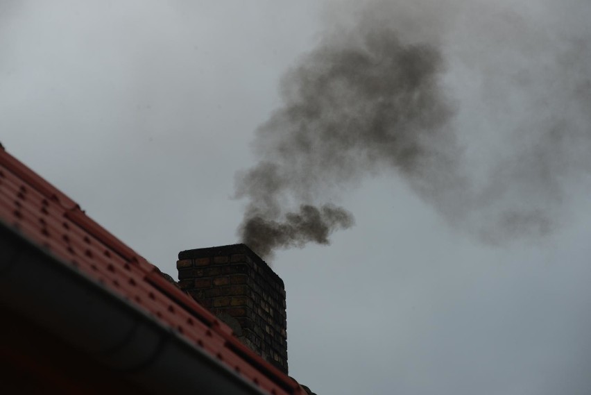 W Opolu i w Nysie będzie zakaz palenia węglem?