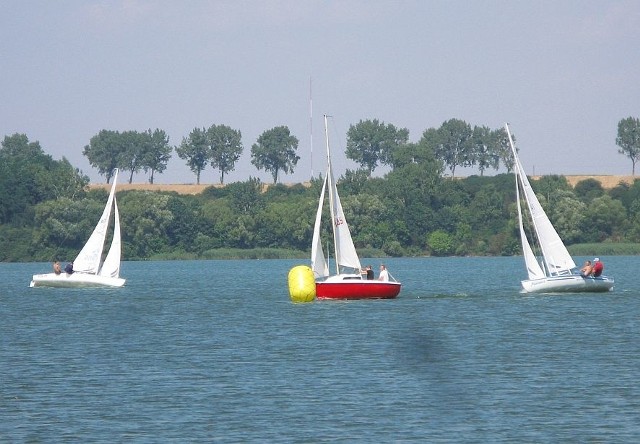W Żeglarskim Pucharze Pałuk wzięło udział sześć łódek. Rywalizowały ze sobą w dwóch klasach.