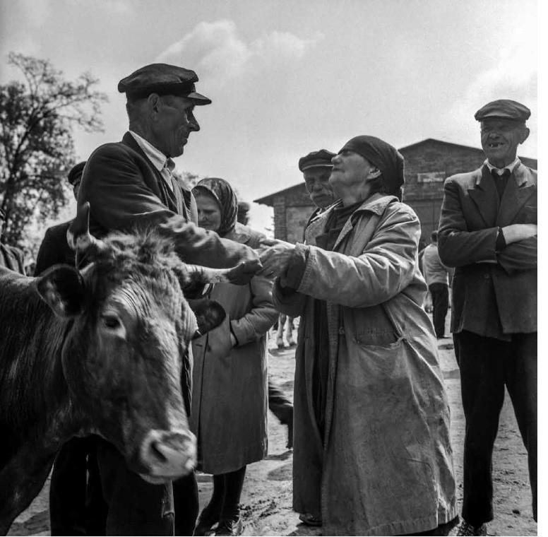 Są pieniądze na fotografie Janusza Buczkowskiego z jarmarku w Bodzentynie