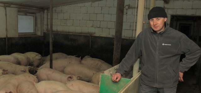- Niskie ceny wieprzowiny w skupie odbiją się na rolnikach &#8211; mówi Jarosław Woźniak, hodowca ze Sławna w gminie Wolanów.