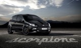 Limitowana wersja Abarth Punto Scorpione