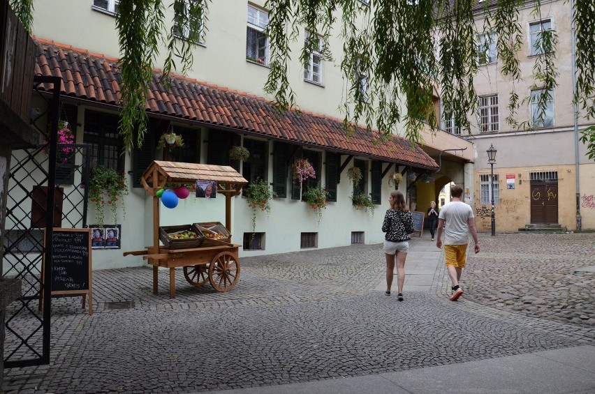 Wrocław: Zjedz jabłko i zostaw Putinowi ogryzek - rozdają owoce przy pl. Solnym (ZDJĘCIA)