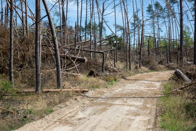 Największym beneficjentem środków (9 mln zł) jest gmina Brusy.