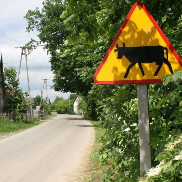 Ten charakterystyczny znak drogowy stoi zaledwie sto metrów od gospodarstwa, w którym rozegrała się tragedia&#8230;