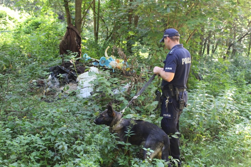 Policjanci i strażnicy na tropie kłusowników (zdjęcia)