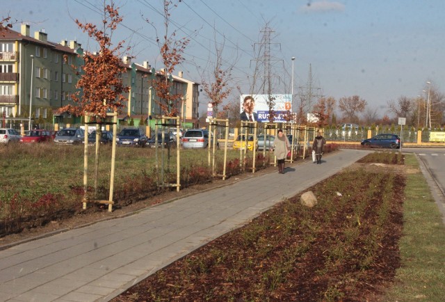 Nowe drzewa i krzewy posadzono wzdłuż ulic Sempołowskiej i Rapackiego.