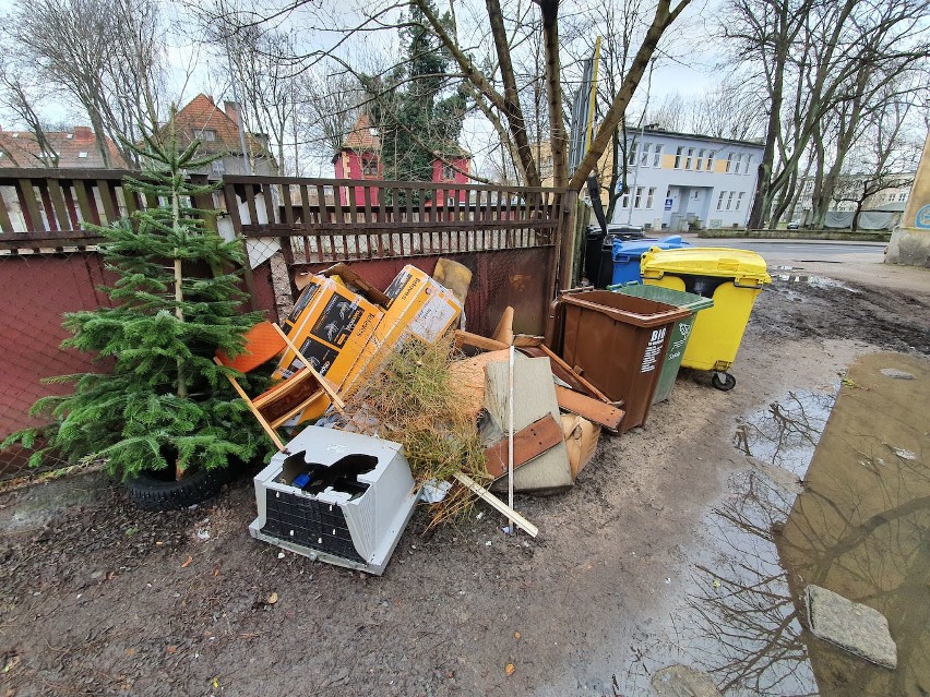 Tak wyglądają śmietniki w Słupsku. Mieszkańcy zbulwersowani (zdjęcia)