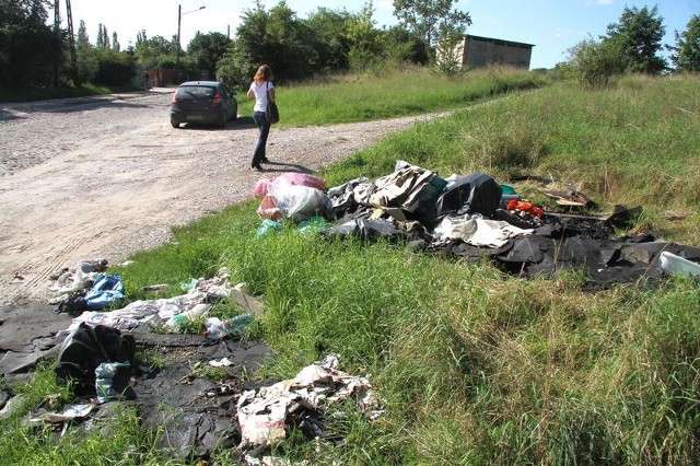 Sterta śmieci od dawna szpeci pobocze ulicy Wojska Polskiego w Kielcach.