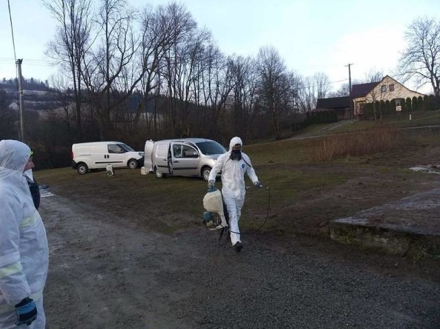 Na jedenaście ognisk ptasiej grypy w Małopolsce wszystkie występowały w powiecie nowosądecki, limanowskim i gorlickim. 