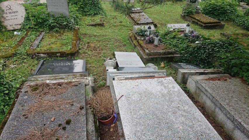 Cmentarz żydowski w Bielsku-Białej zniszczony przez wandali. Ruszyła zbiórka na odnowienie nagrobków