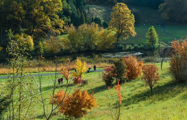 W sobotę temperatura maksymalna od 14 st. C nad morzem, około 18 st. C na przeważającym obszarze do 21 st. C na południu